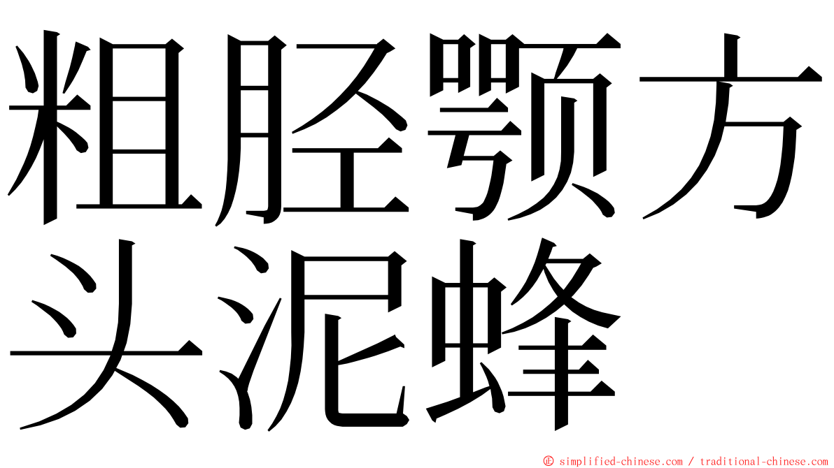 粗胫颚方头泥蜂 ming font