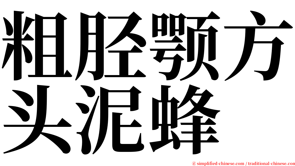 粗胫颚方头泥蜂 serif font