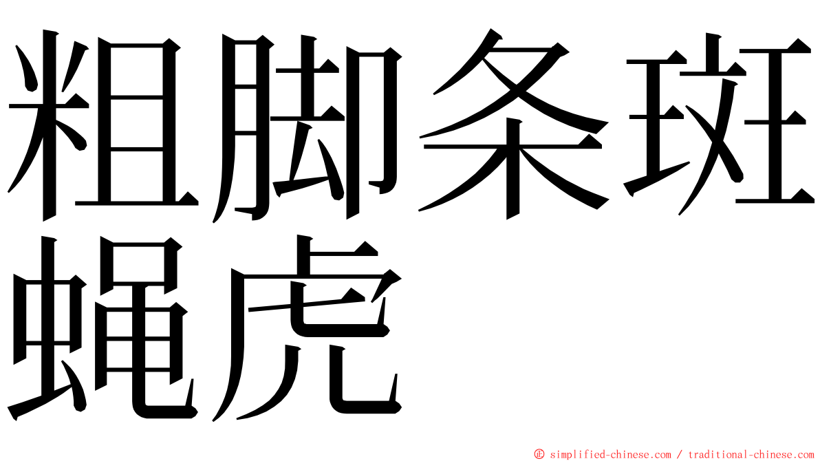 粗脚条斑蝇虎 ming font