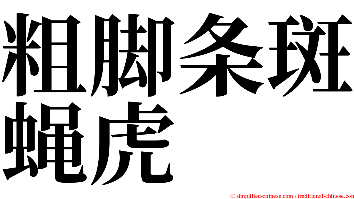 粗脚条斑蝇虎 serif font