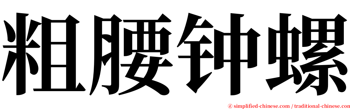 粗腰钟螺 serif font