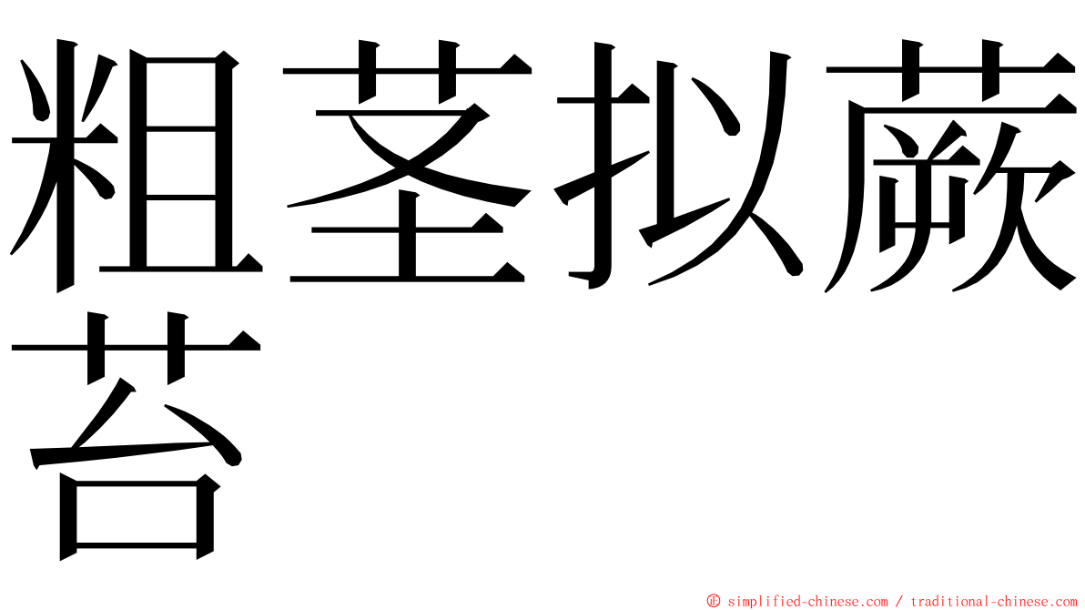 粗茎拟蕨苔 ming font