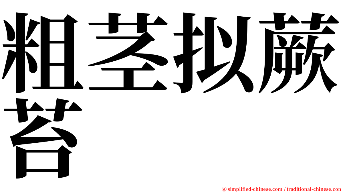 粗茎拟蕨苔 serif font