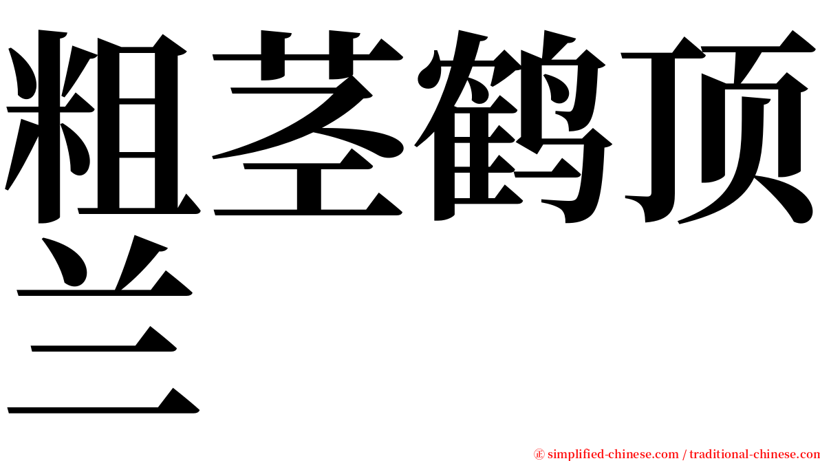 粗茎鹤顶兰 serif font