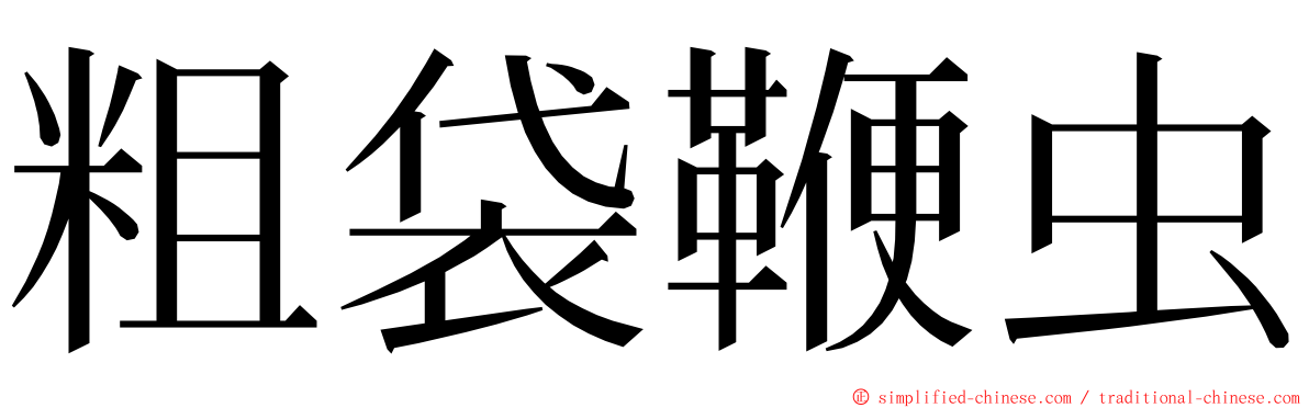 粗袋鞭虫 ming font