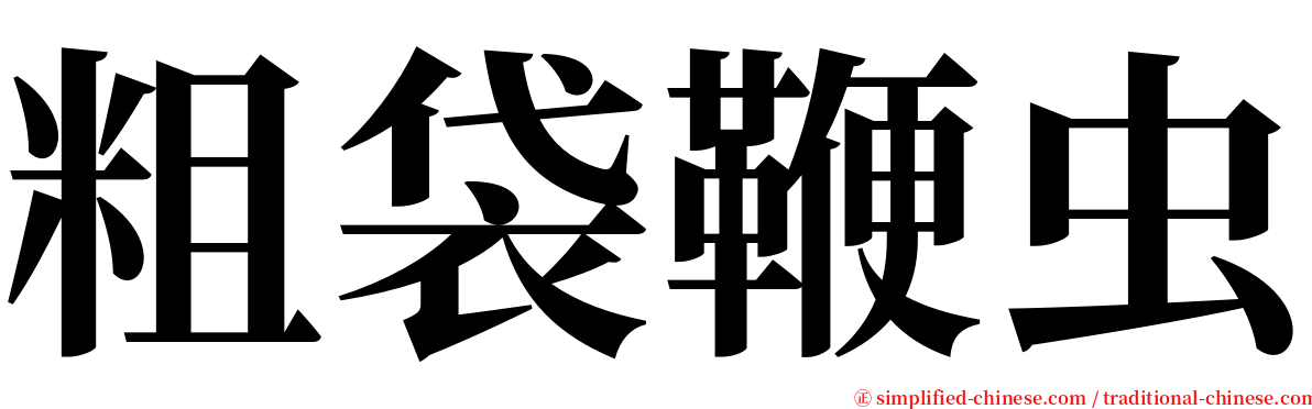 粗袋鞭虫 serif font