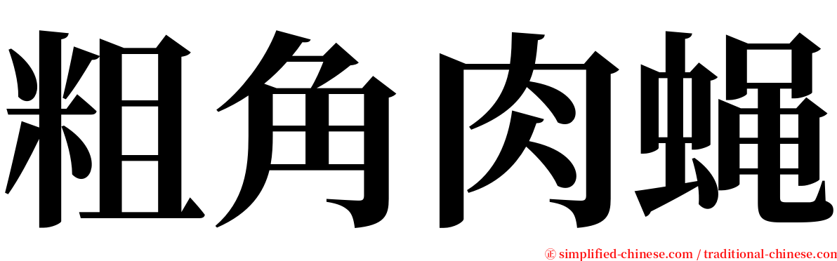 粗角肉蝇 serif font