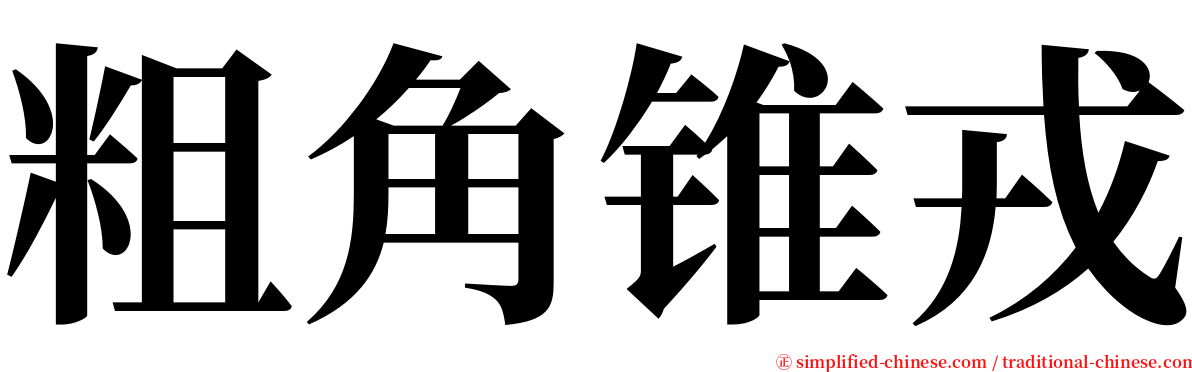 粗角锥戎 serif font