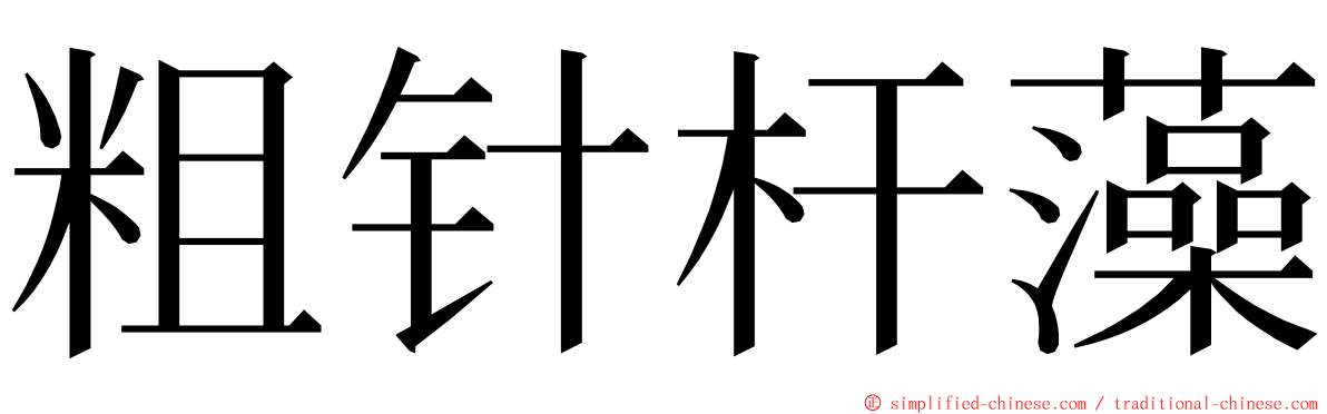 粗针杆藻 ming font