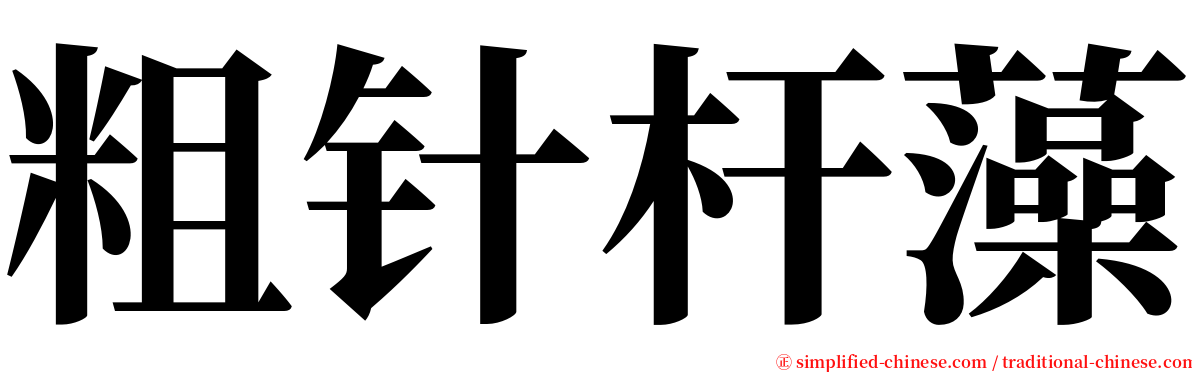 粗针杆藻 serif font