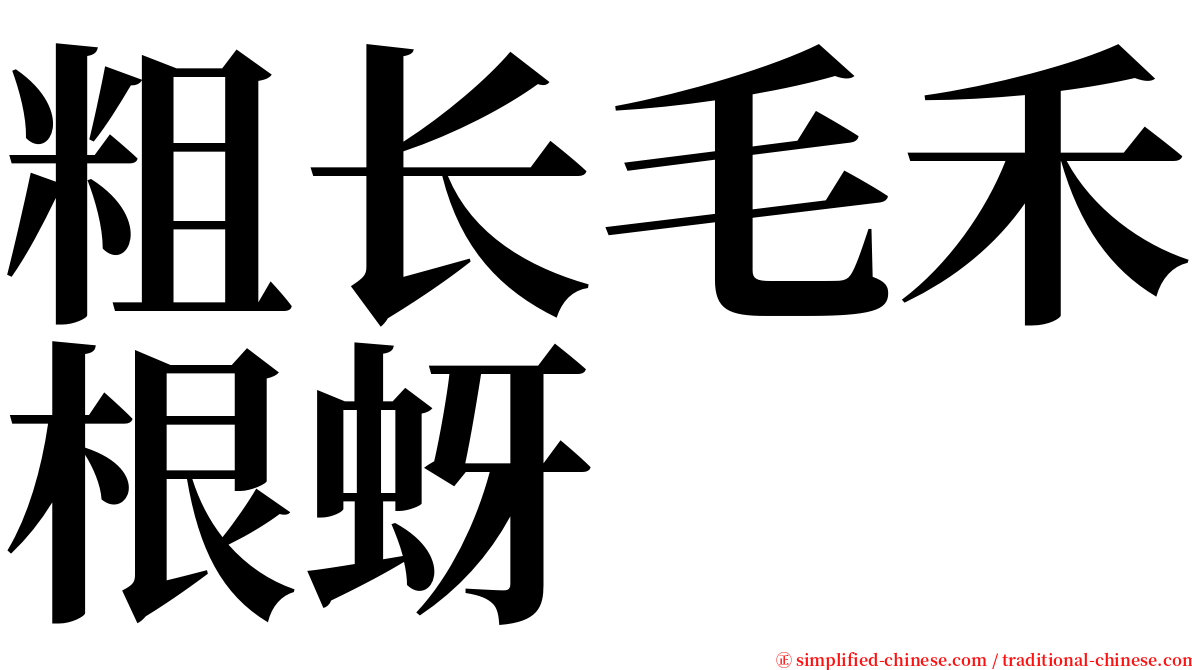 粗长毛禾根蚜 serif font