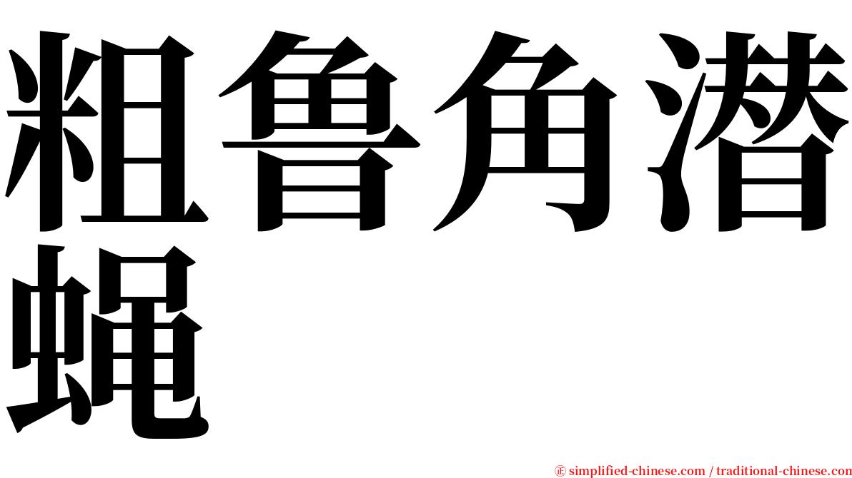 粗鲁角潜蝇 serif font