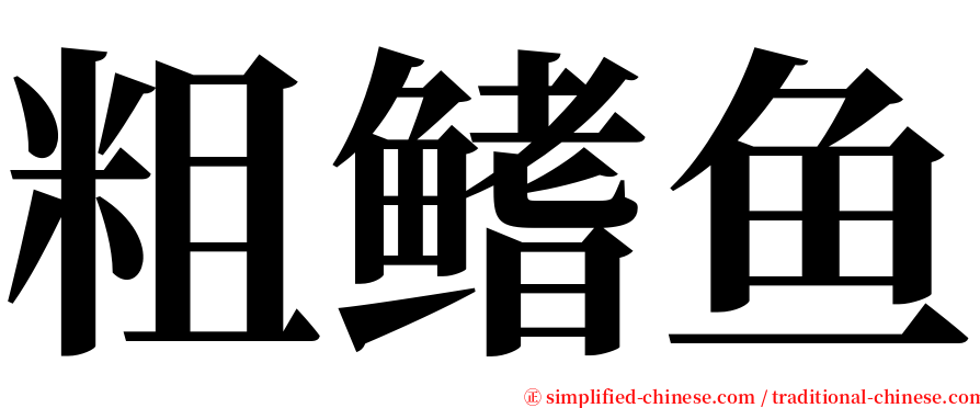 粗鳍鱼 serif font