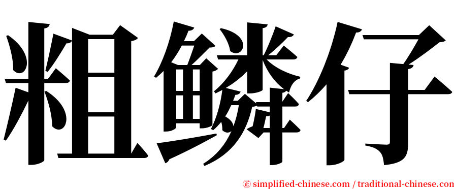 粗鳞仔 serif font