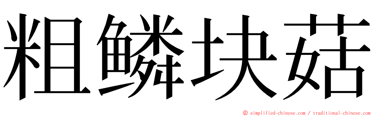 粗鳞块菇 ming font