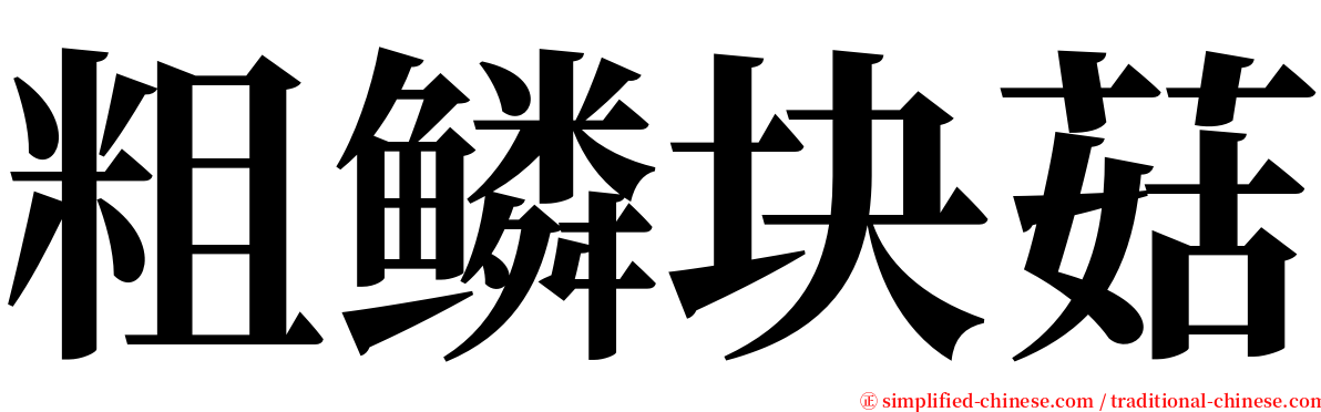 粗鳞块菇 serif font