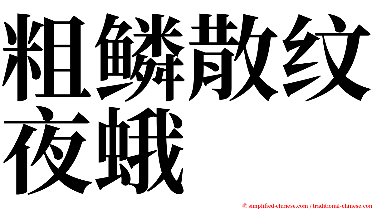 粗鳞散纹夜蛾 serif font