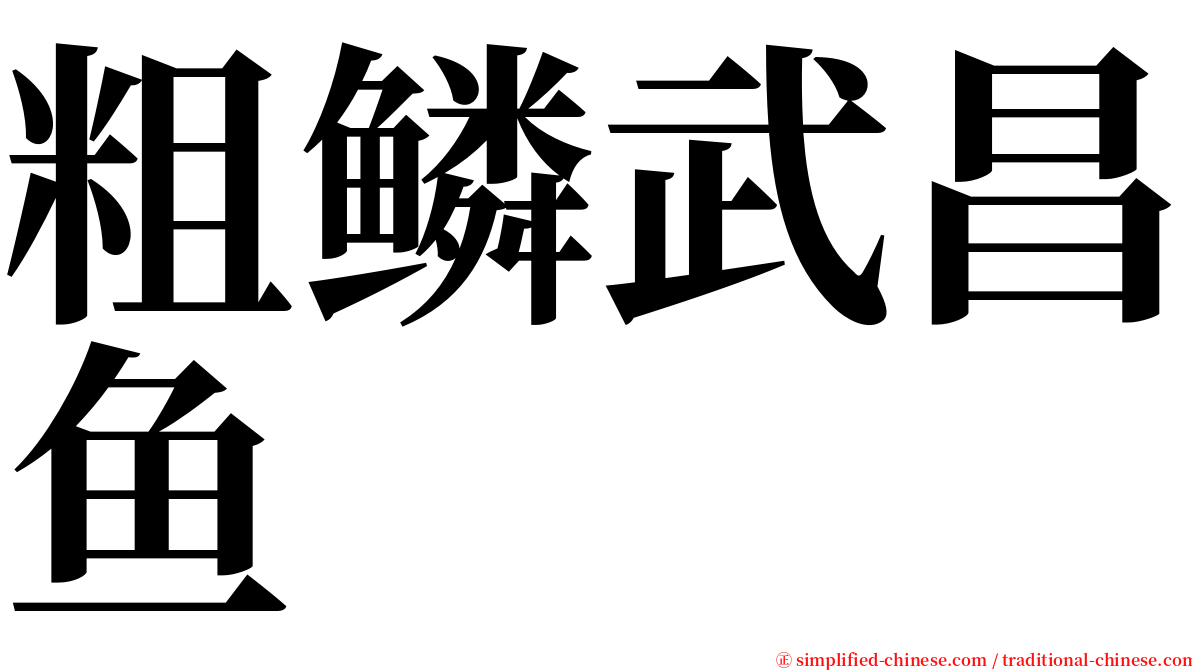 粗鳞武昌鱼 serif font