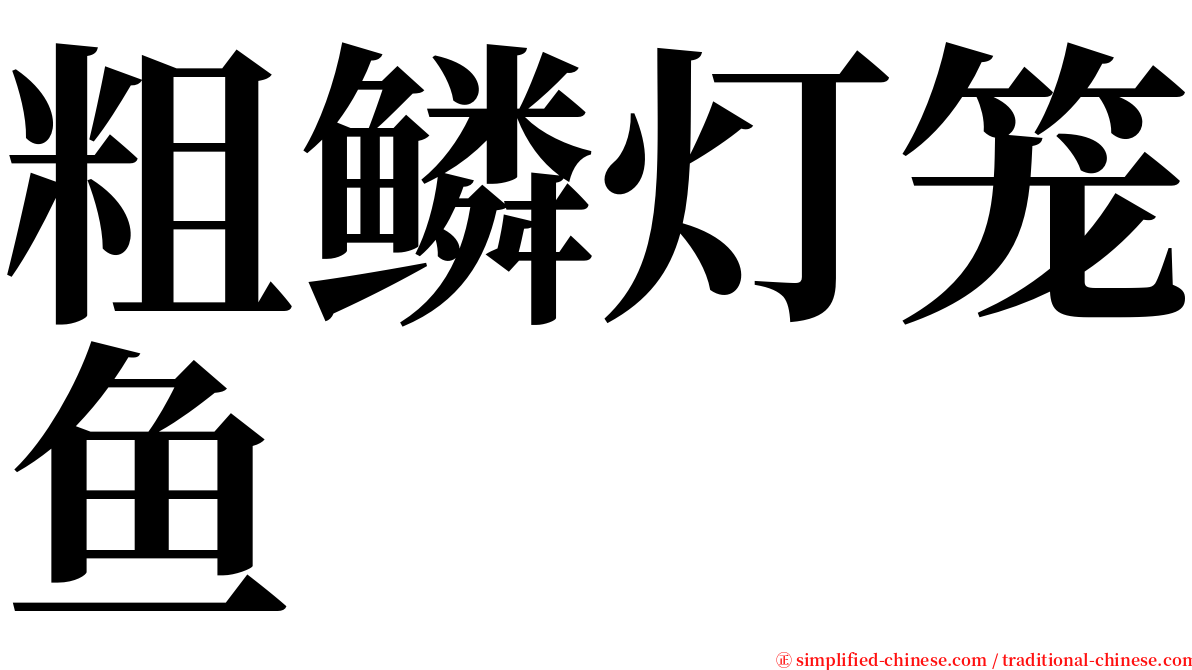 粗鳞灯笼鱼 serif font