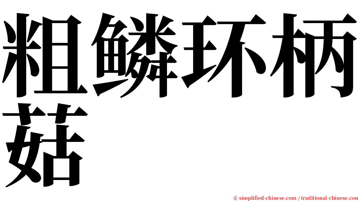 粗鳞环柄菇 serif font