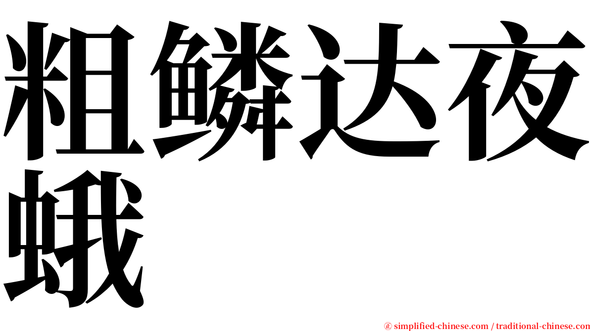 粗鳞达夜蛾 serif font