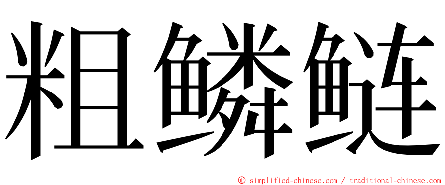 粗鳞鲢 ming font