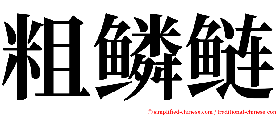 粗鳞鲢 serif font