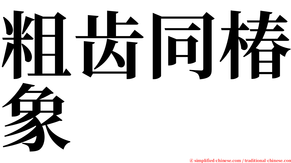 粗齿同椿象 serif font