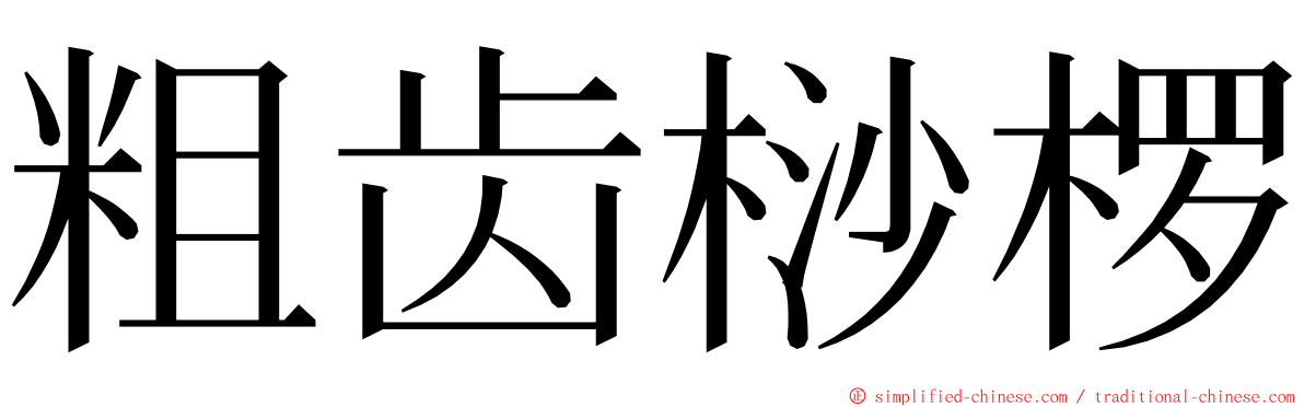 粗齿桫椤 ming font