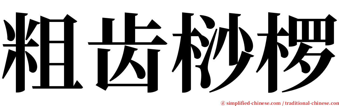 粗齿桫椤 serif font