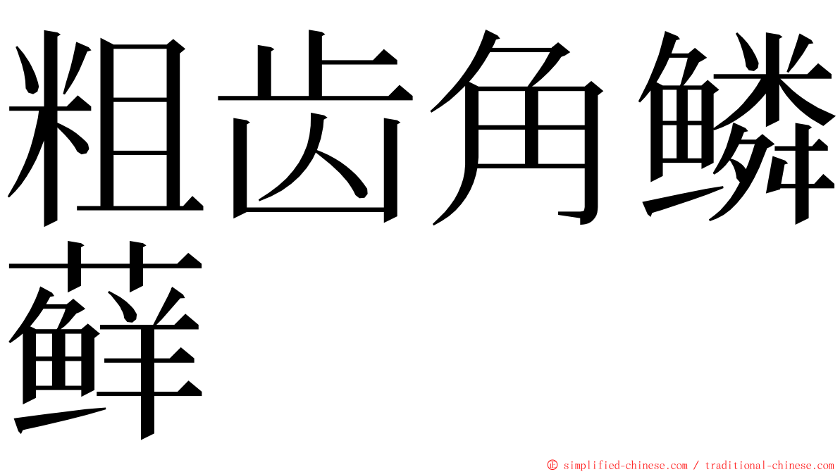 粗齿角鳞藓 ming font