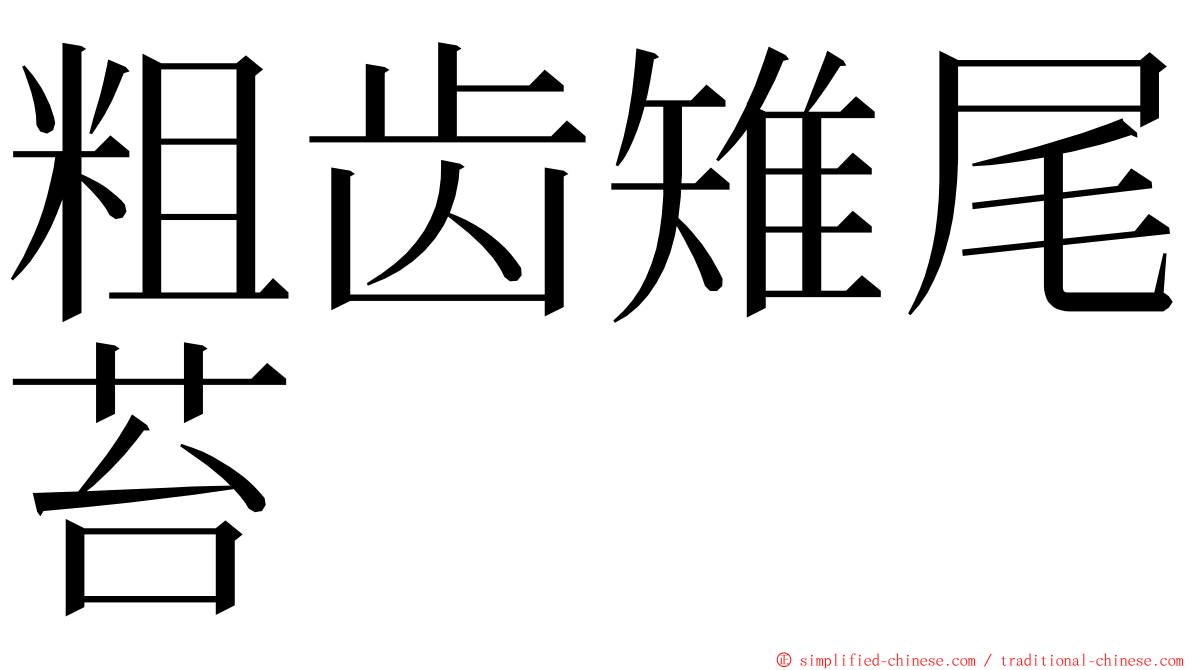 粗齿雉尾苔 ming font