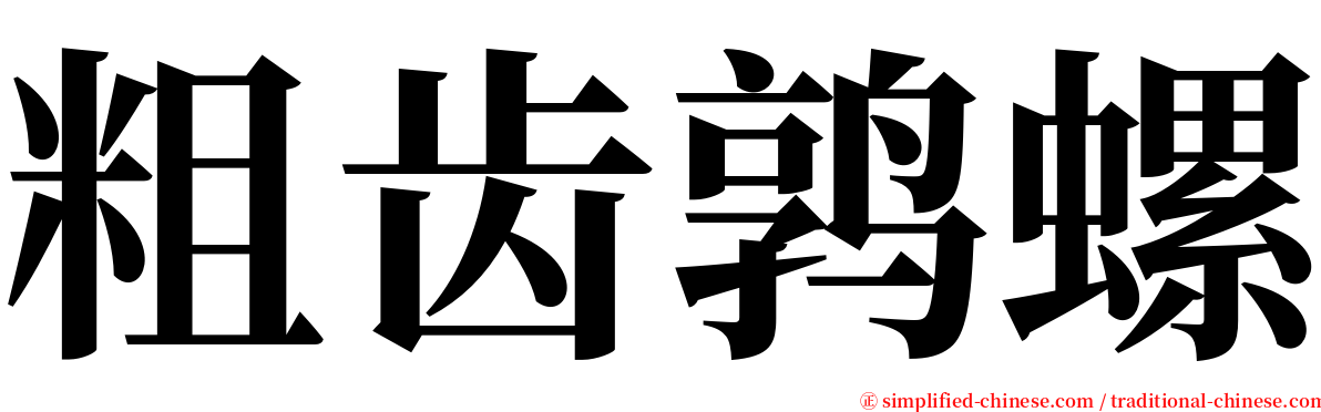 粗齿鹑螺 serif font