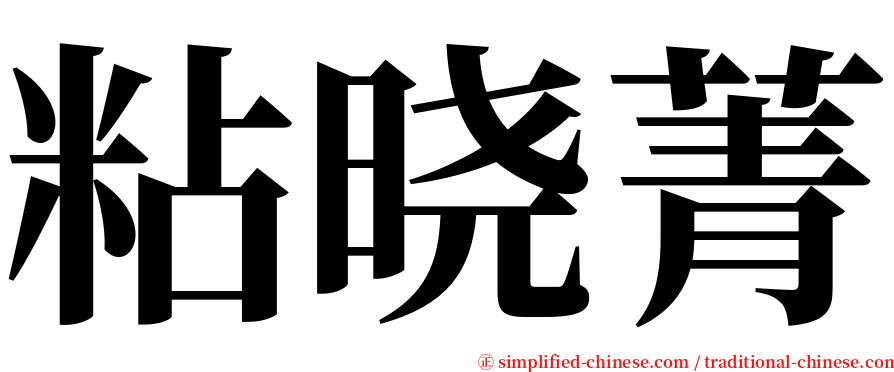 粘晓菁 serif font