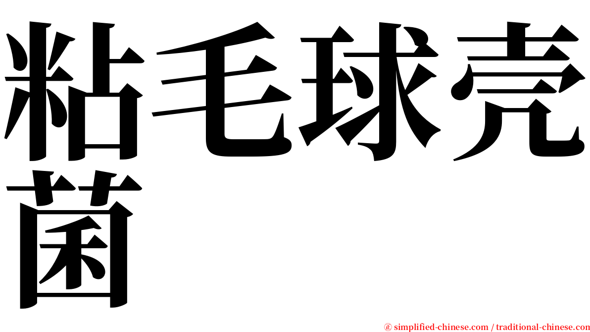 粘毛球壳菌 serif font