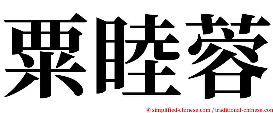 粟睦蓉 serif font