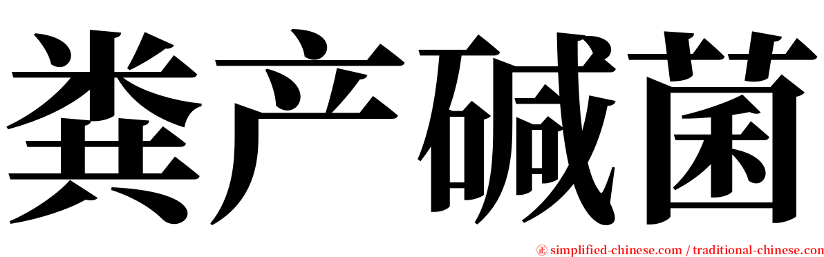 粪产碱菌 serif font