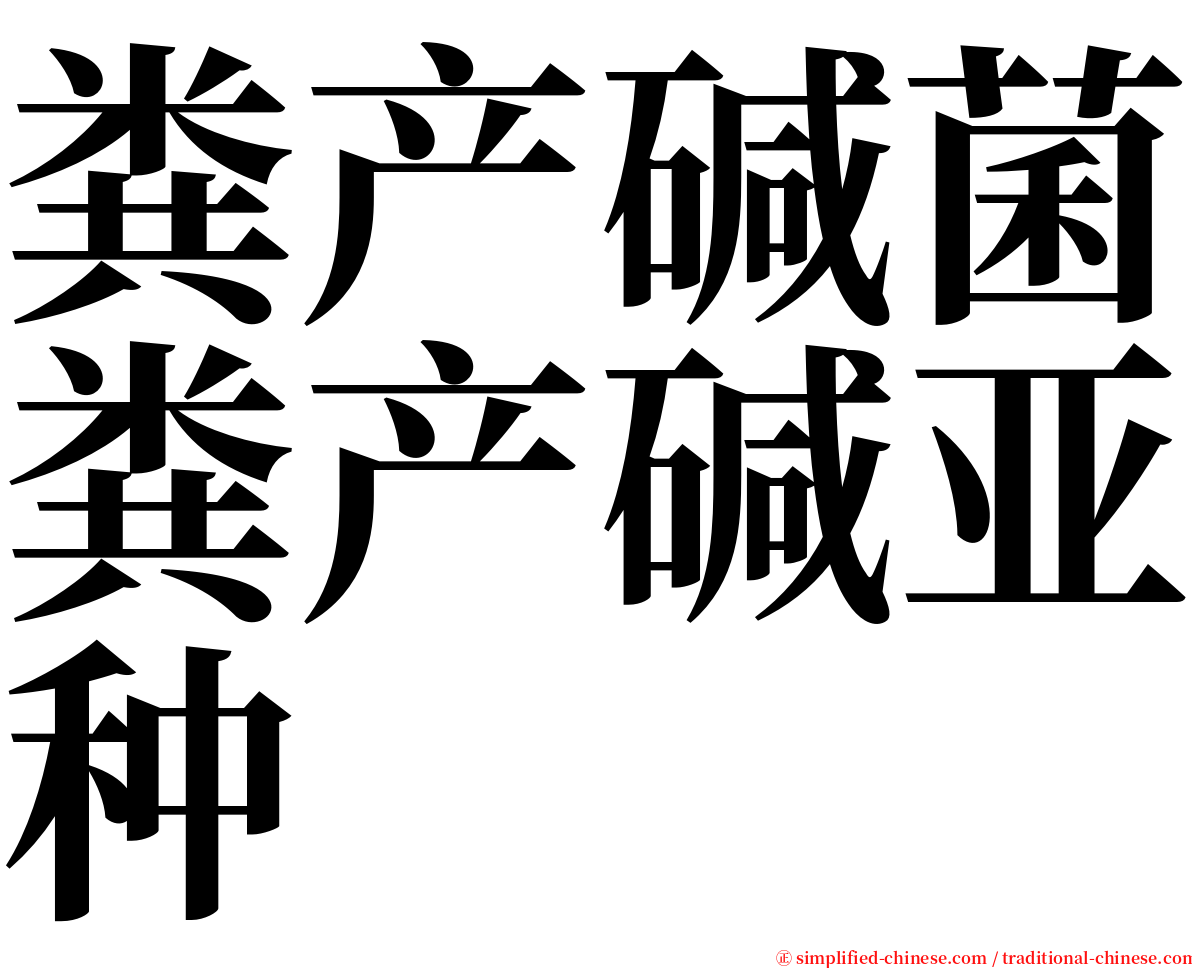 粪产碱菌粪产碱亚种 serif font