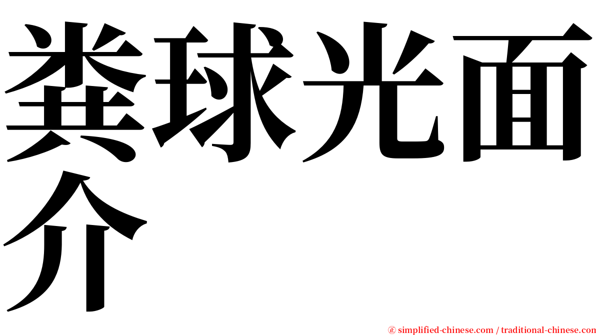 粪球光面介 serif font