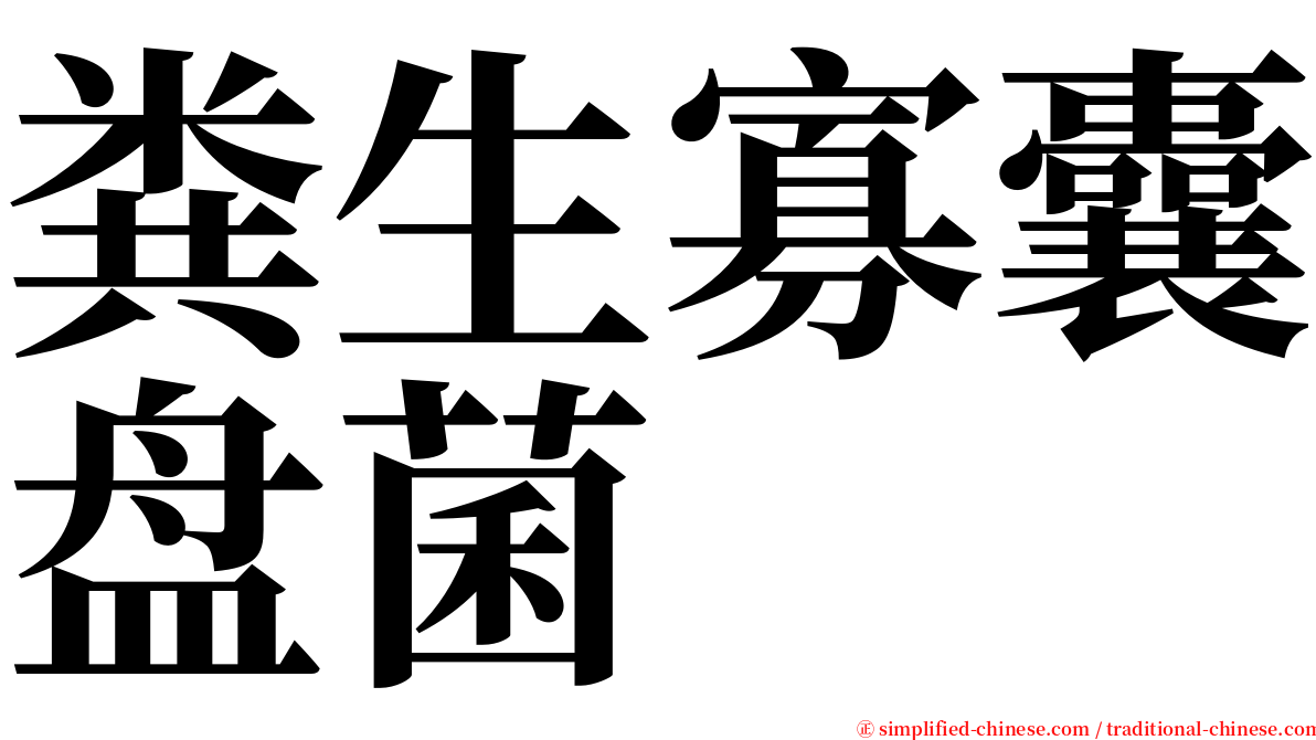 粪生寡囊盘菌 serif font