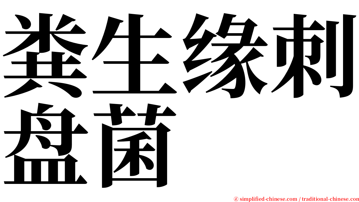 粪生缘刺盘菌 serif font