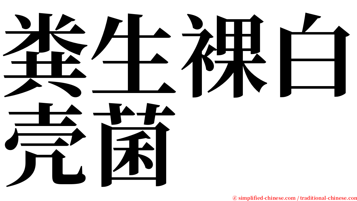 粪生裸白壳菌 serif font