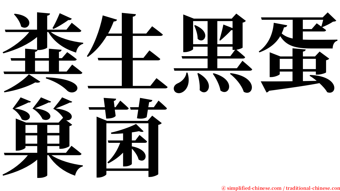 粪生黑蛋巢菌 serif font