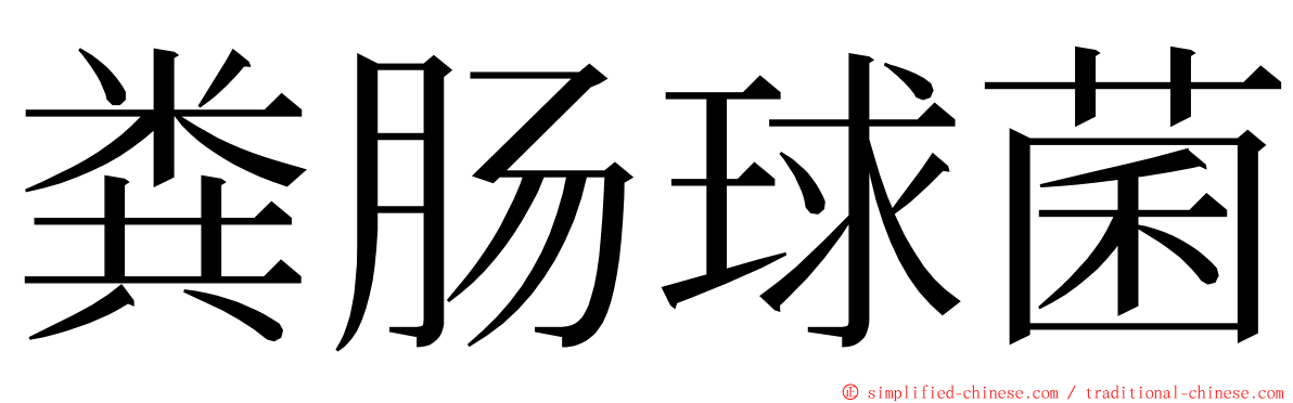 粪肠球菌 ming font
