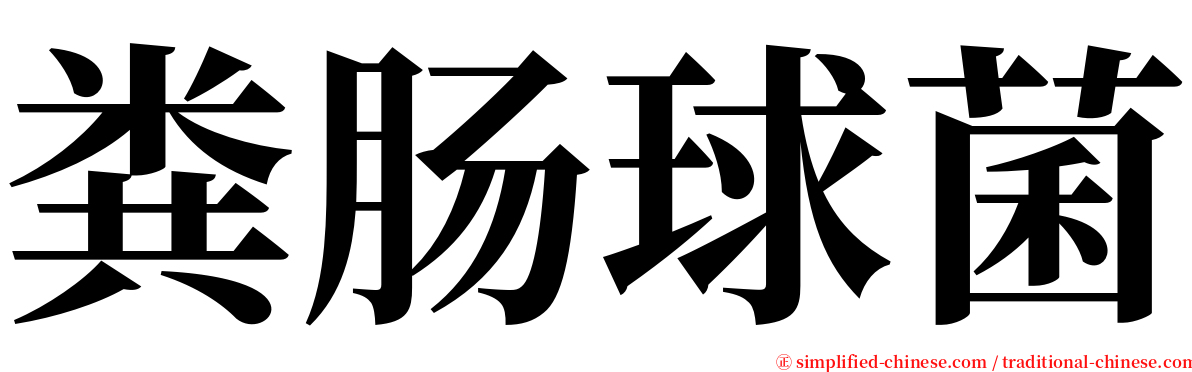 粪肠球菌 serif font