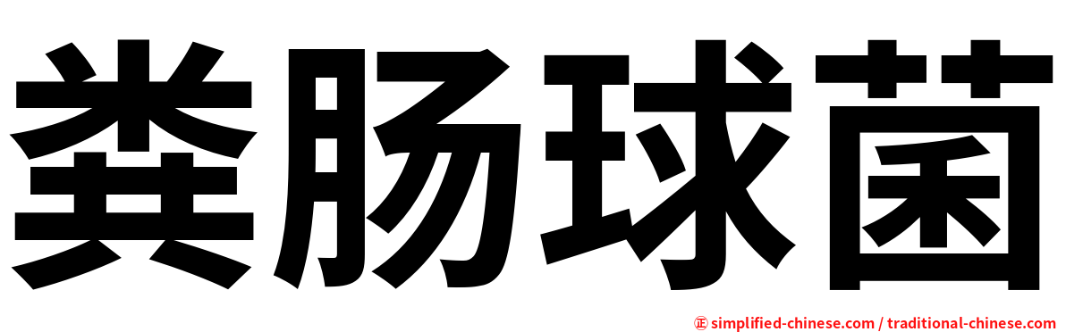 粪肠球菌