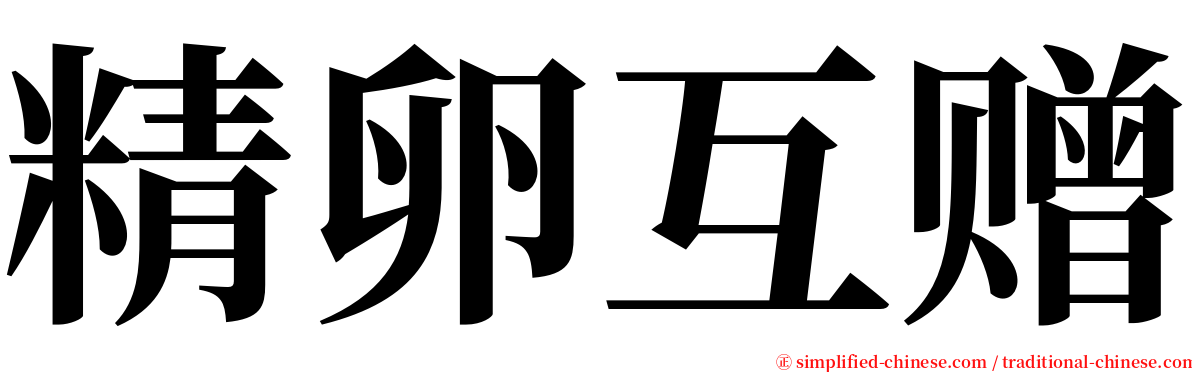 精卵互赠 serif font