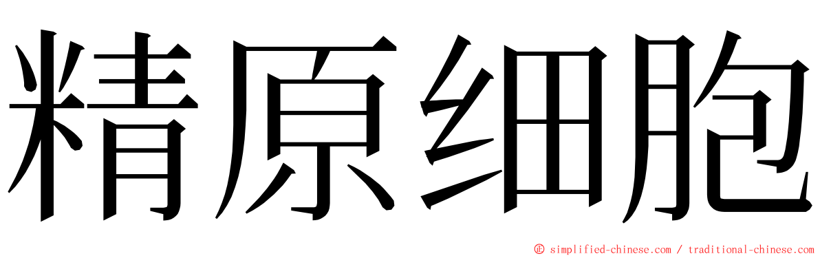 精原细胞 ming font