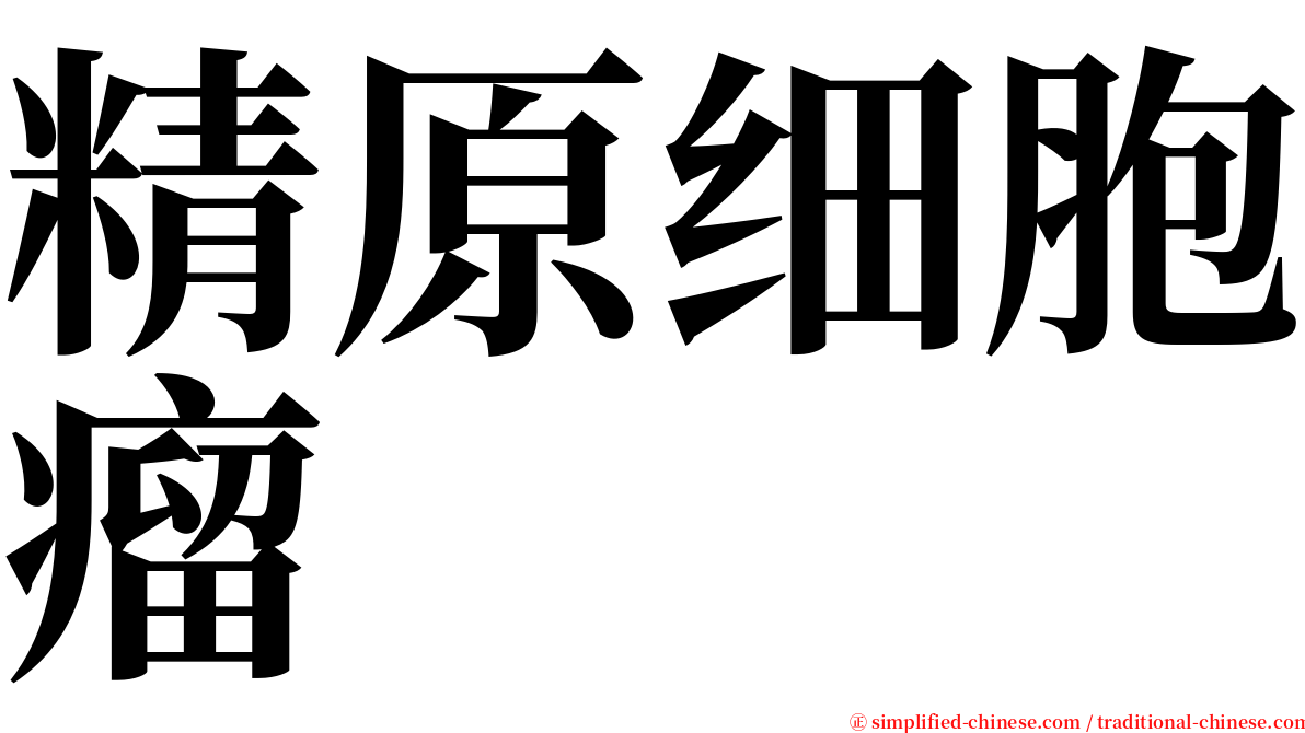 精原细胞瘤 serif font