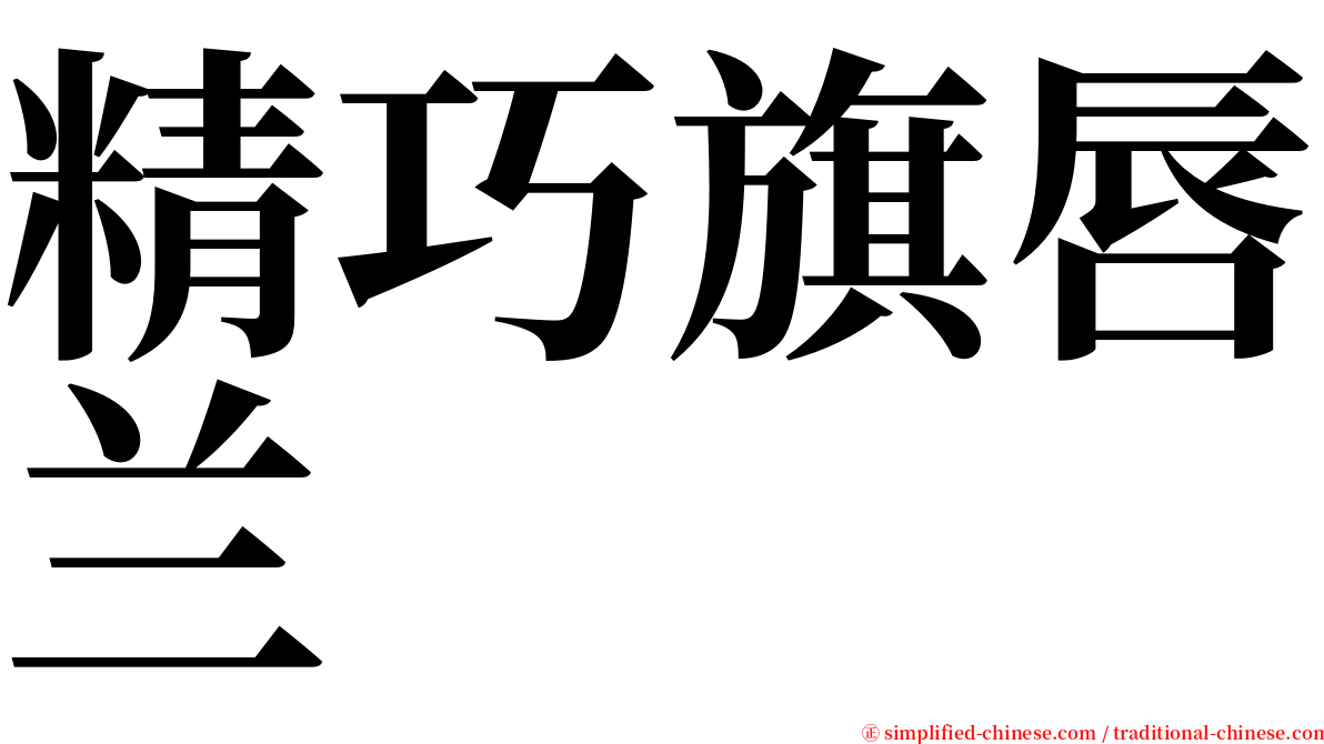 精巧旗唇兰 serif font